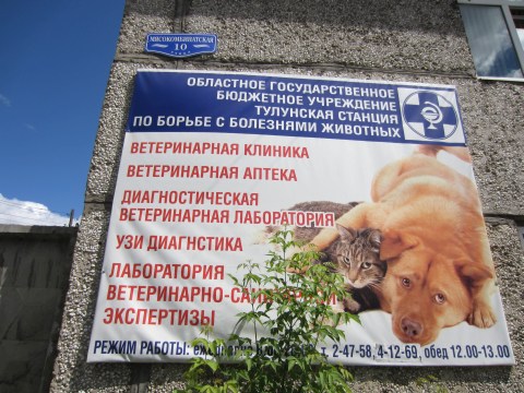 ОГБУ Тулунская станция по борьбе с болезнями животных, город Тулун