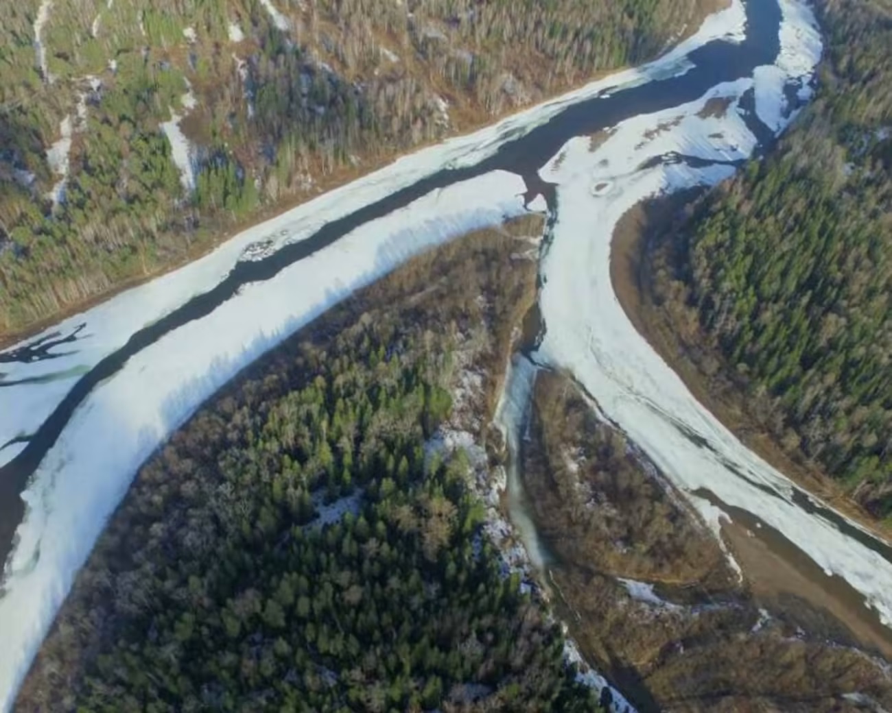 Река белая на сегодняшний день. Река Киренга Иркутская. Река Лена ледоход 2022 год. Река Лена в Иркутской области. Река вскрылась.